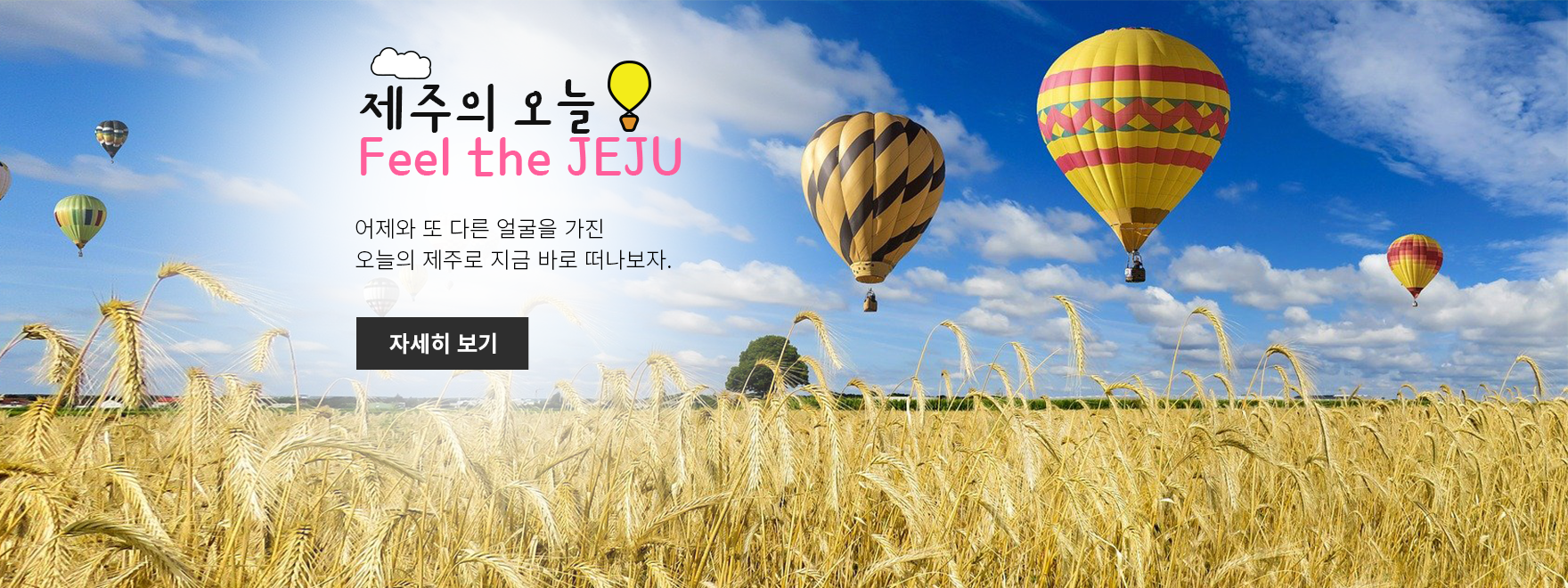 제주의 오늘 Feel the JEJU